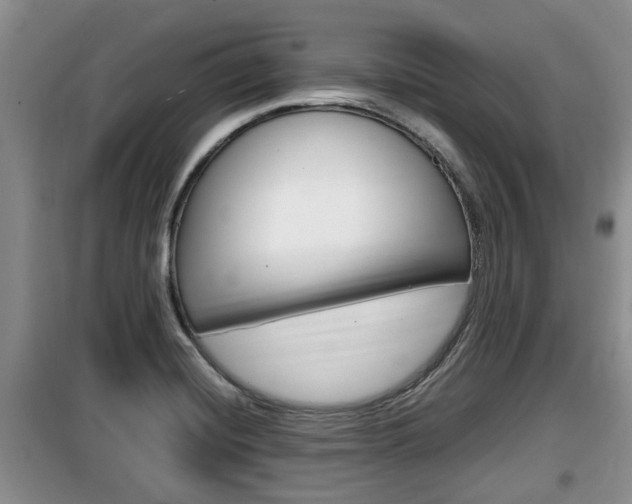 X0000100191420200805300714