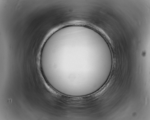 X0000100191421200805300714