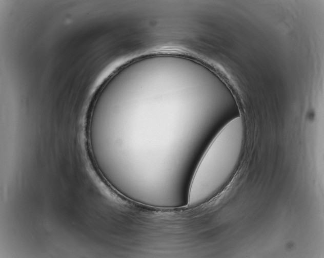 X0000100191422200805300714