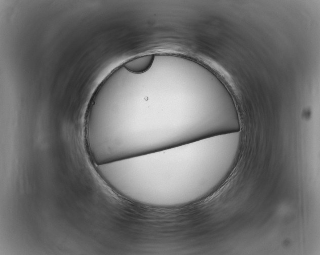 X0000100191423200805300714