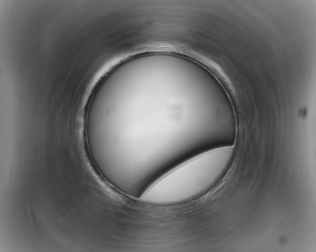 X0000100191424200805300714