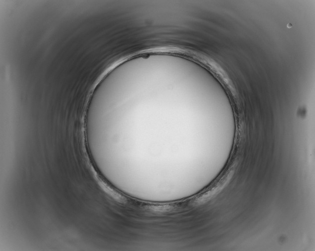 X0000100191425200805300714