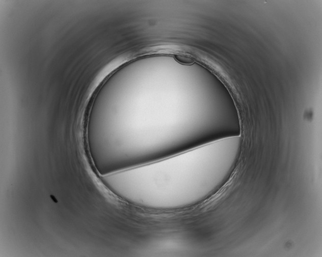 X0000100191426200805300714