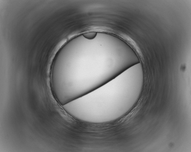 X0000100191427200805300714