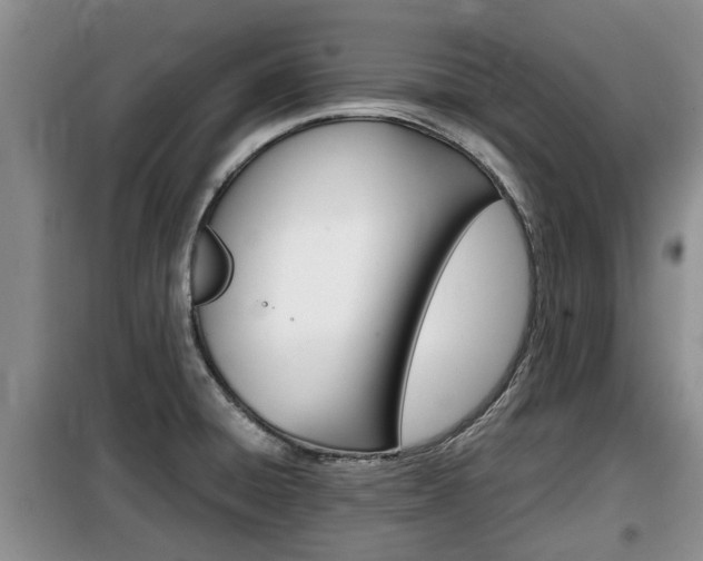 X0000100191428200805300714