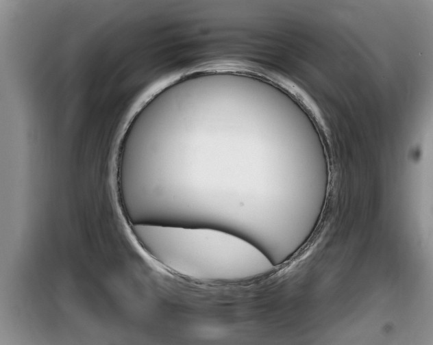 X0000100191429200805300714