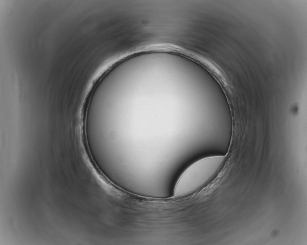 X0000100191430200805300714