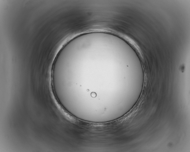 X0000100191431200805300714