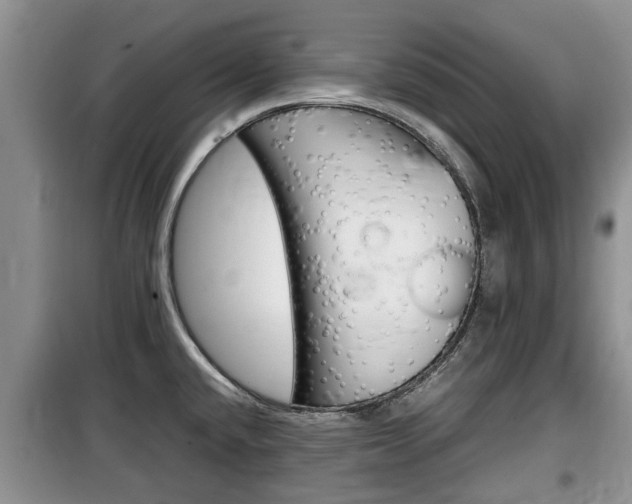 X0000100191432200805300715