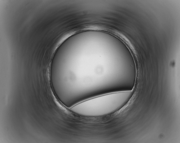 X0000100191433200805300715
