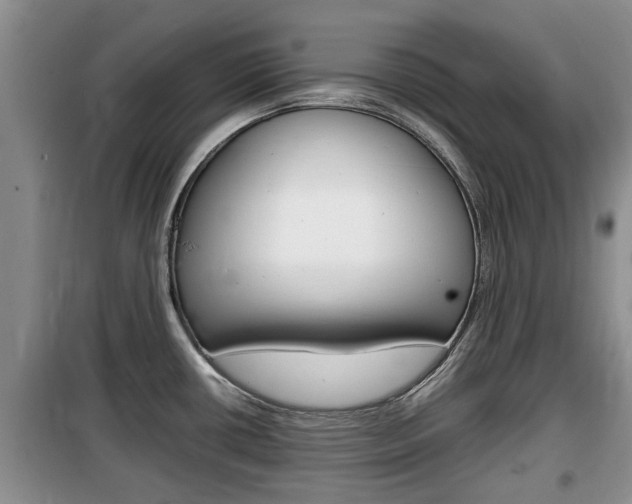 X0000100191434200805300715