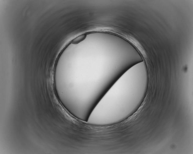 X0000100191436200805300715