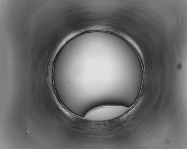 X0000100191437200805300715