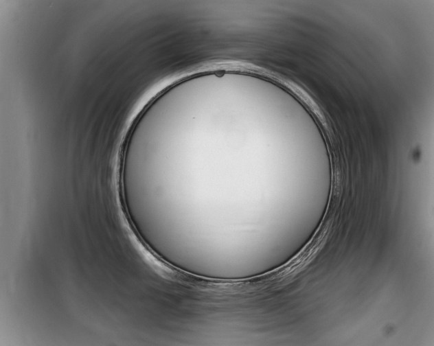 X0000100191438200805300715