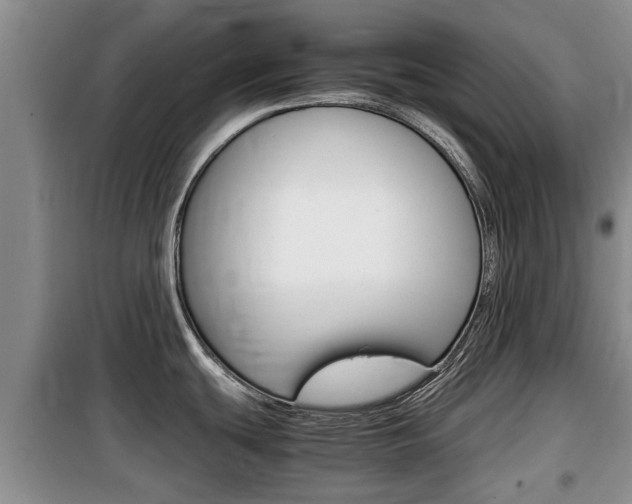 X0000100191439200805300715