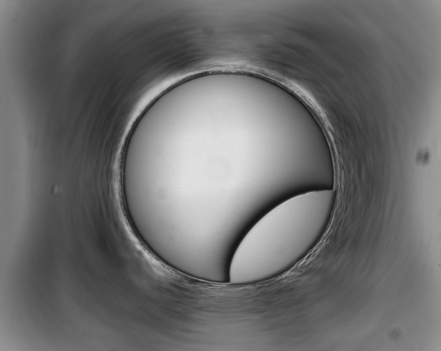X0000100191440200805300715