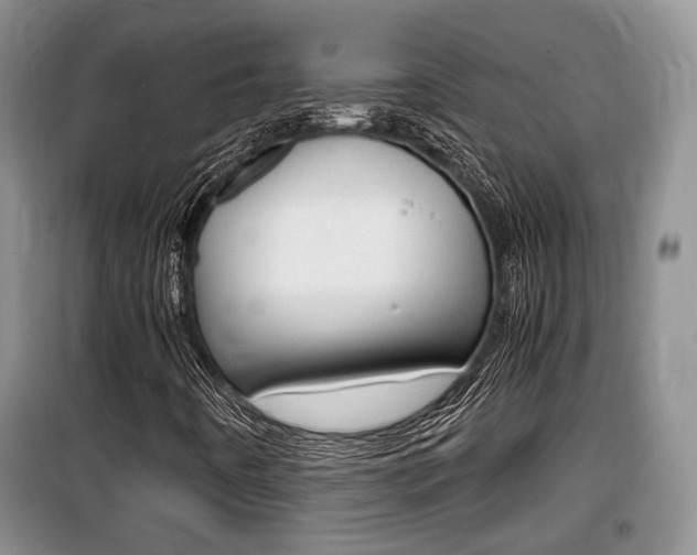X0000100191442200805300714
