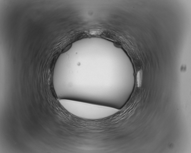 X0000100191443200805300714