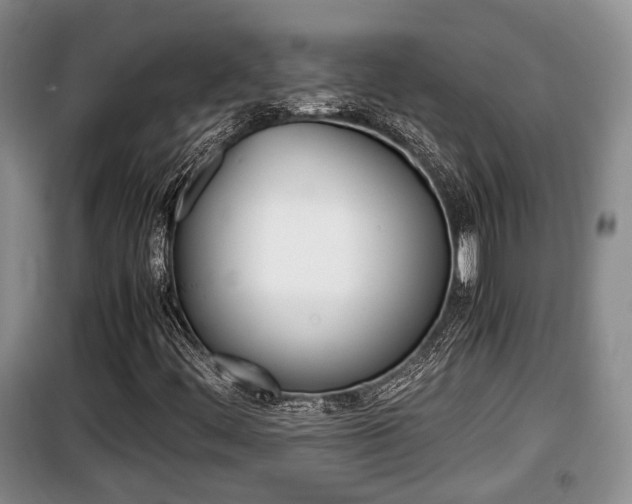 X0000100191444200805300714
