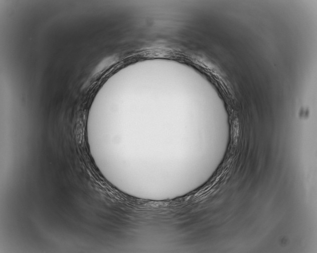 X0000100191446200805300714