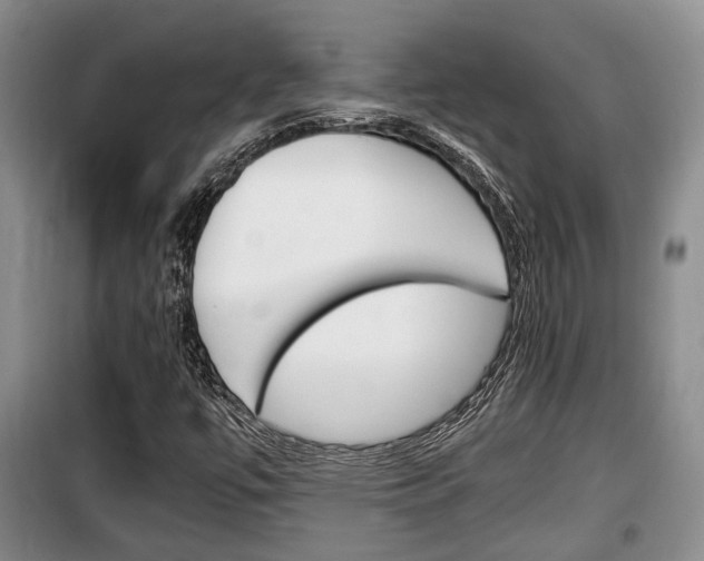 X0000100191447200805300714