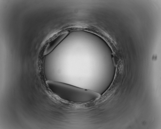 X0000100191448200805300714