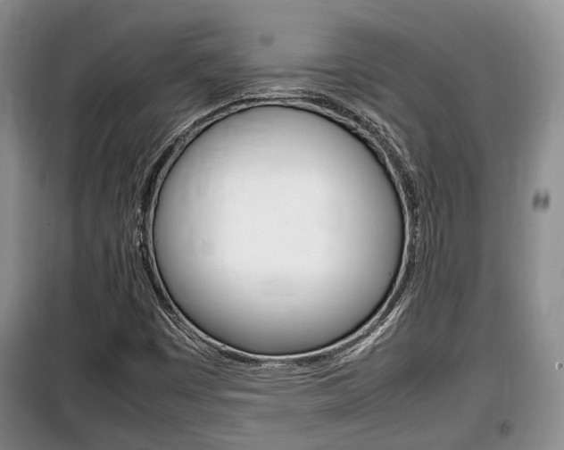 X0000100191449200805300714