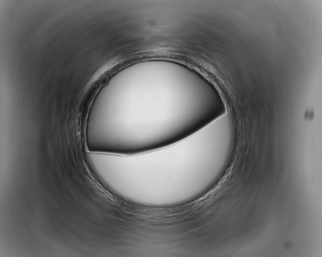 X0000100191450200805300714