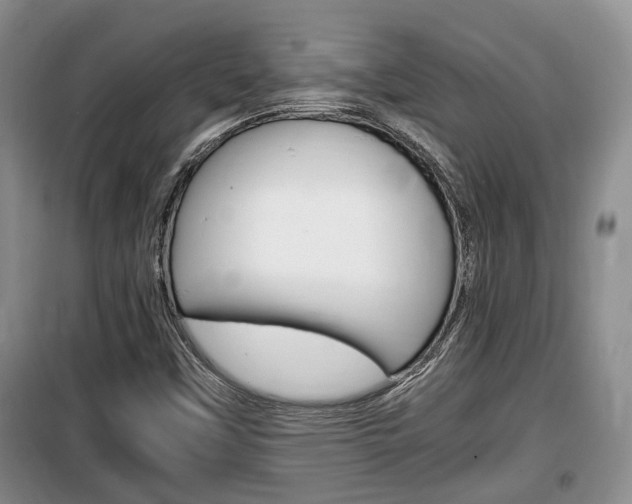 X0000100191451200805300714