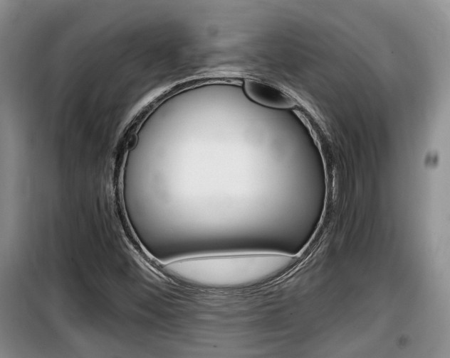 X0000100191452200805300714