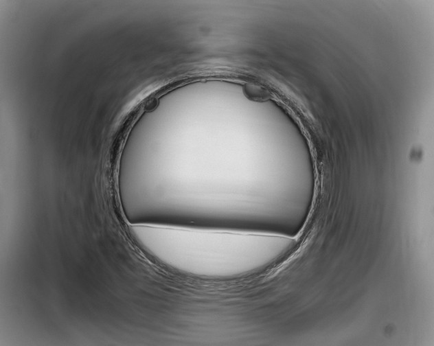 X0000100191453200805300714