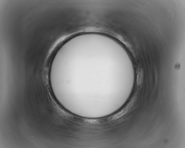 X0000100191454200805300714