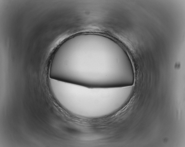 X0000100191455200805300714