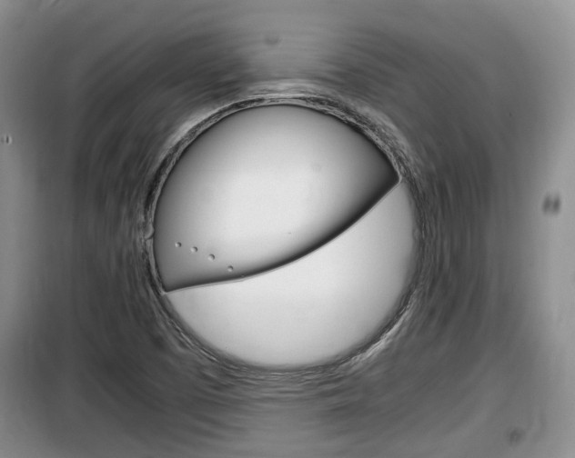 X0000100191457200805300714