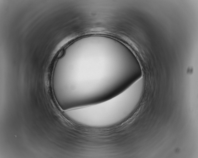 X0000100191458200805300714