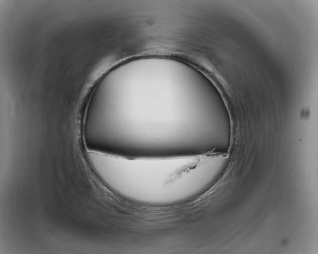 X0000100191459200805300714
