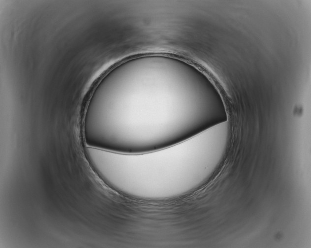 X0000100191460200805300714