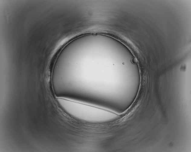 X0000100191461200805300714