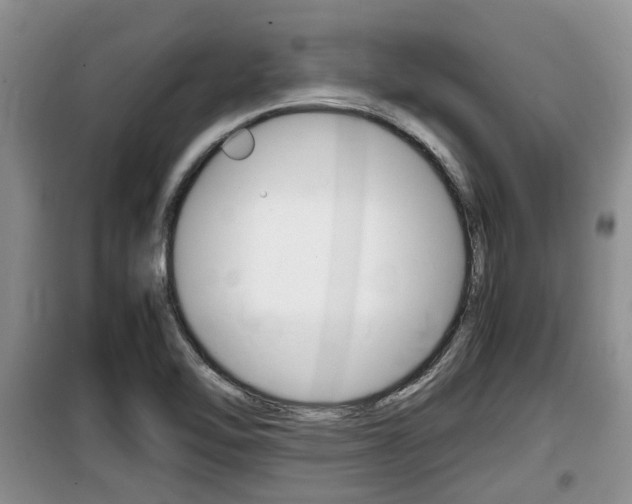 X0000100191462200805300714