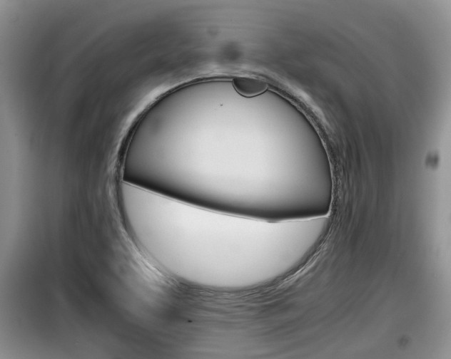X0000100191463200805300714