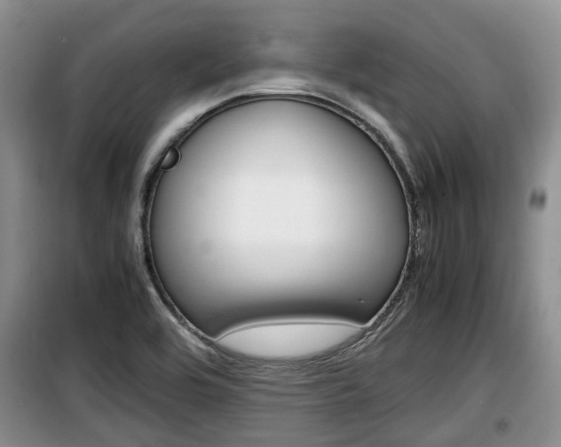 X0000100191464200805300714
