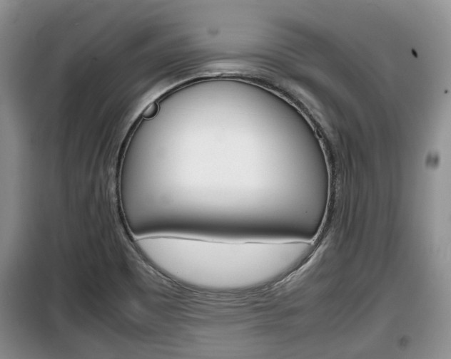 X0000100191465200805300714