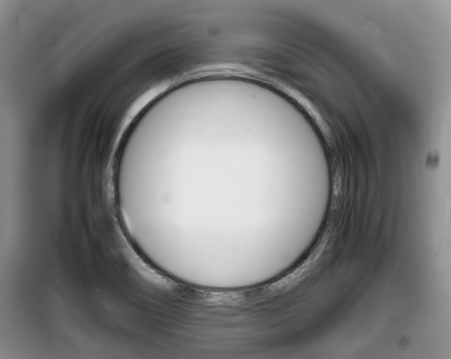 X0000100191466200805300714