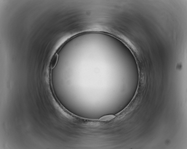 X0000100191468200805300714