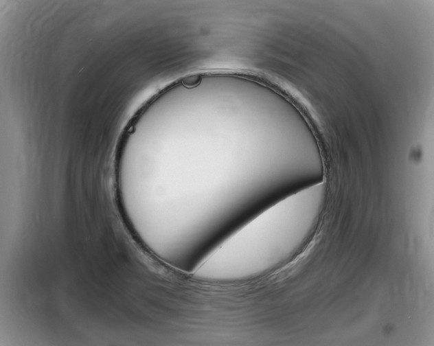 X0000100191469200805300714