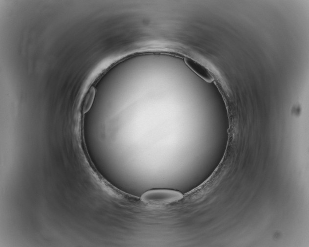 X0000100191472200805300714