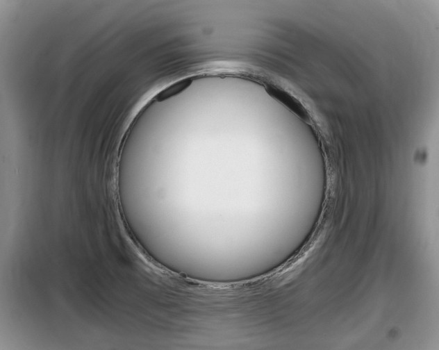 X0000100191473200805300714