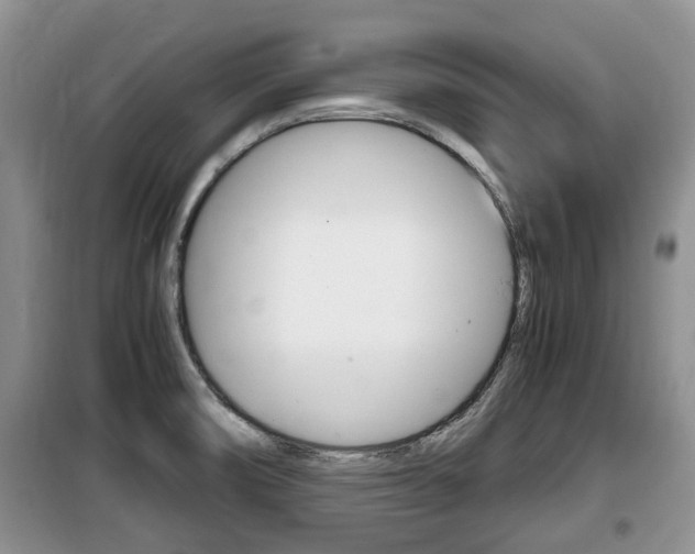 X0000100191474200805300714
