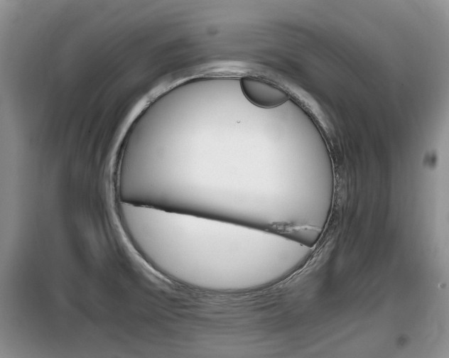 X0000100191475200805300714
