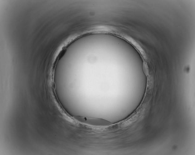 X0000100191477200805300714